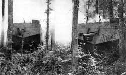 The first tanks